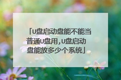 U盘启动盘能不能当普通U盘用,U盘启动盘能放多少个系统