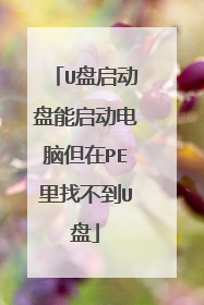 U盘启动盘能启动电脑但在PE里找不到U盘