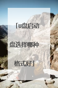 U盘启动盘选择哪种格式好