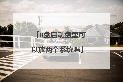 U盘启动盘里可以放两个系统吗