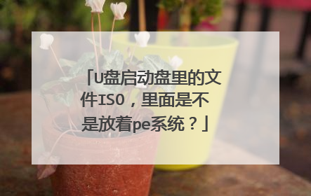 U盘启动盘里的文件ISO，里面是不是放着pe系统？