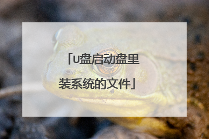 U盘启动盘里装系统的文件