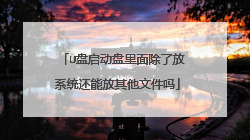 U盘启动盘里面除了放系统还能放其他文件吗