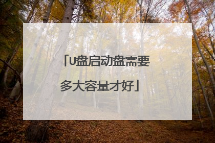 U盘启动盘需要多大容量才好