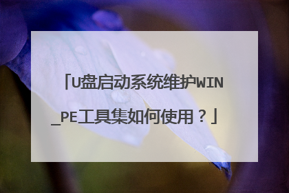 U盘启动系统维护WIN_PE工具集如何使用？