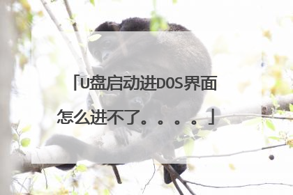 U盘启动进DOS界面怎么进不了。。。。