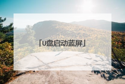 U盘启动蓝屏