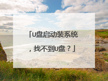 U盘启动装系统,找不到U盘?