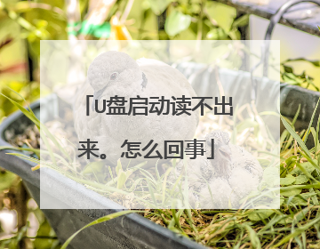 U盘启动读不出来。怎么回事