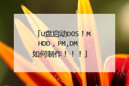 U盘启动DOS！MHDD，PM,DM 如何制作！！！