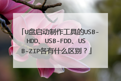 U盘启动制作工具的USB-HDD、USB-FDD、USB-ZIP各有什么区别?