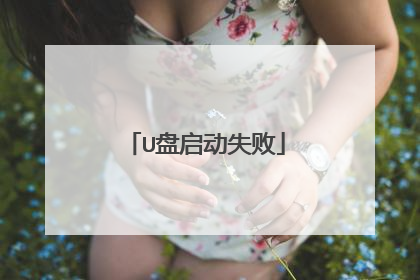 U盘启动失败