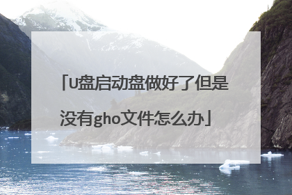 U盘启动盘做好了但是没有gho文件怎么办