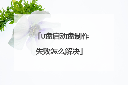 U盘启动盘制作失败怎么解决