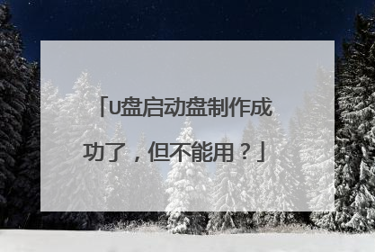 U盘启动盘制作成功了,但不能用?