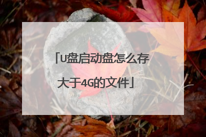 U盘启动盘怎么存大于4G的文件