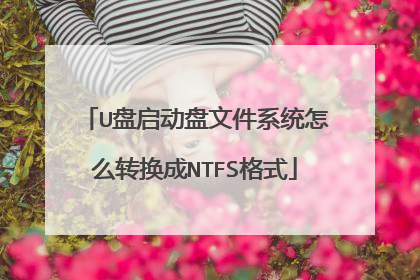 U盘启动盘文件系统怎么转换成NTFS格式