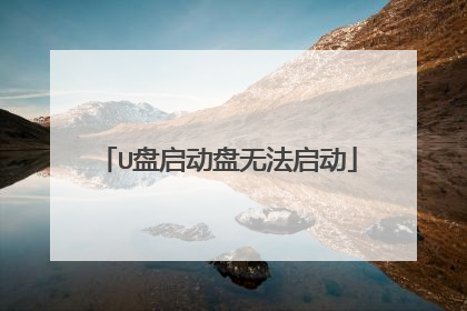 U盘启动盘无法启动