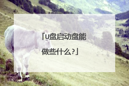 U盘启动盘能做些什么?