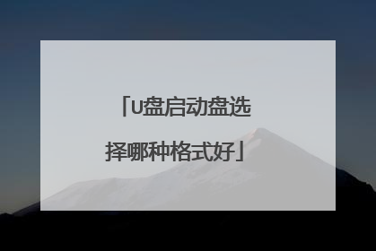 U盘启动盘选择哪种格式好