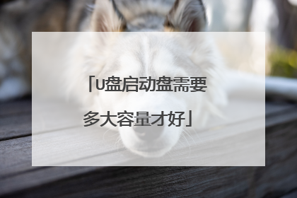 U盘启动盘需要多大容量才好