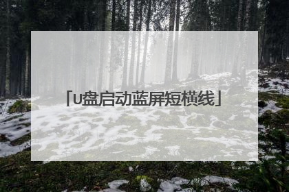 U盘启动蓝屏短横线