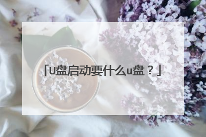 U盘启动要什么u盘?