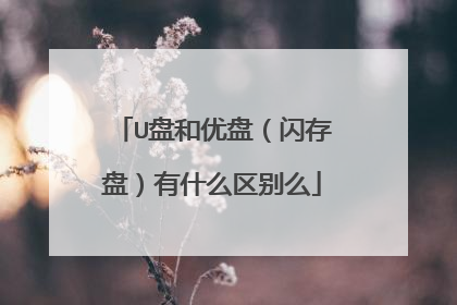 U盘和优盘(闪存盘)有什么区别么