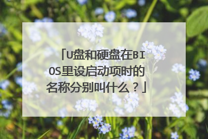 U盘和硬盘在BIOS里设启动项时的名称分别叫什么？