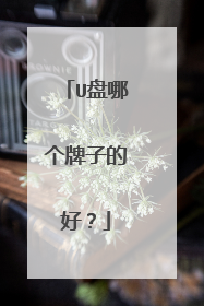U盘哪个牌子的好？