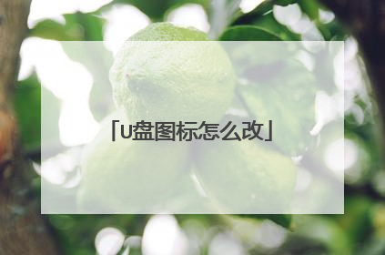 U盘图标怎么改