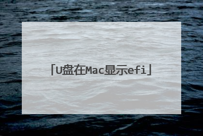 U盘在Mac显示efi