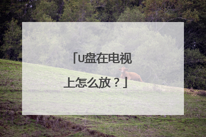 U盘在电视上怎么放?