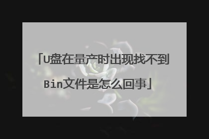 U盘在量产时出现找不到Bin文件是怎么回事