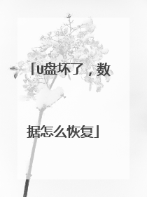 U盘坏了,数据怎么恢复