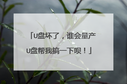U盘坏了,谁会量产U盘帮我搞一下呗!