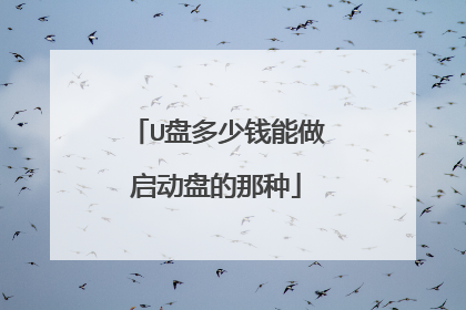 U盘多少钱能做启动盘的那种