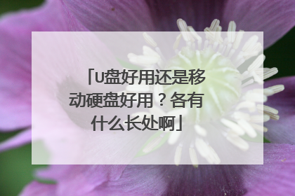U盘好用还是移动硬盘好用?各有什么长处啊