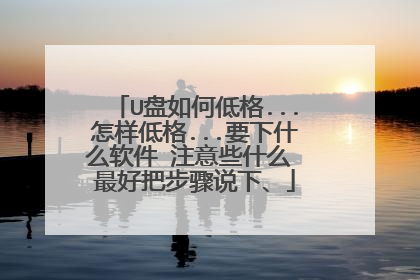 U盘如何低格...怎样低格...要下什么软件 注意些什么 最好把步骤说下、