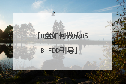 U盘如何做成USB-FDD引导