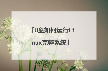 U盘如何运行Linux完整系统
