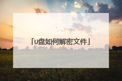 U盘如何解密文件