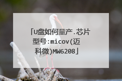 U盘如何量产.芯片型号:micov(迈科微)MW6208