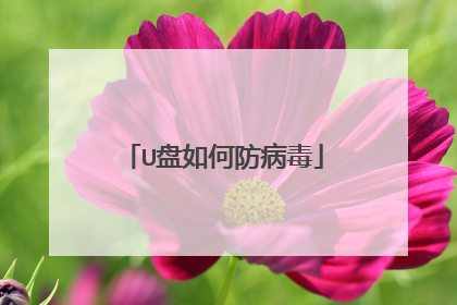 U盘如何防病毒