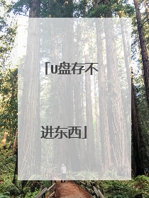 U盘存不进东西