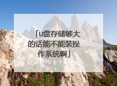 U盘存储够大的话能不能装操作系统啊