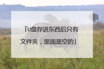 U盘存进东西后只有文件夹,里面是空的