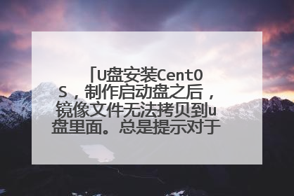 U盘安装CentOS,制作启动盘之后,镜像文件无法拷贝到u盘里面。总是提示对于系统,该文件太大。