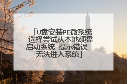 U盘安装PE微系统 选择尝试从本地硬盘启动系统 提示错误 无法进入系统