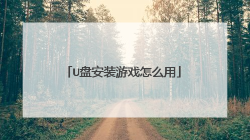 U盘安装游戏怎么用